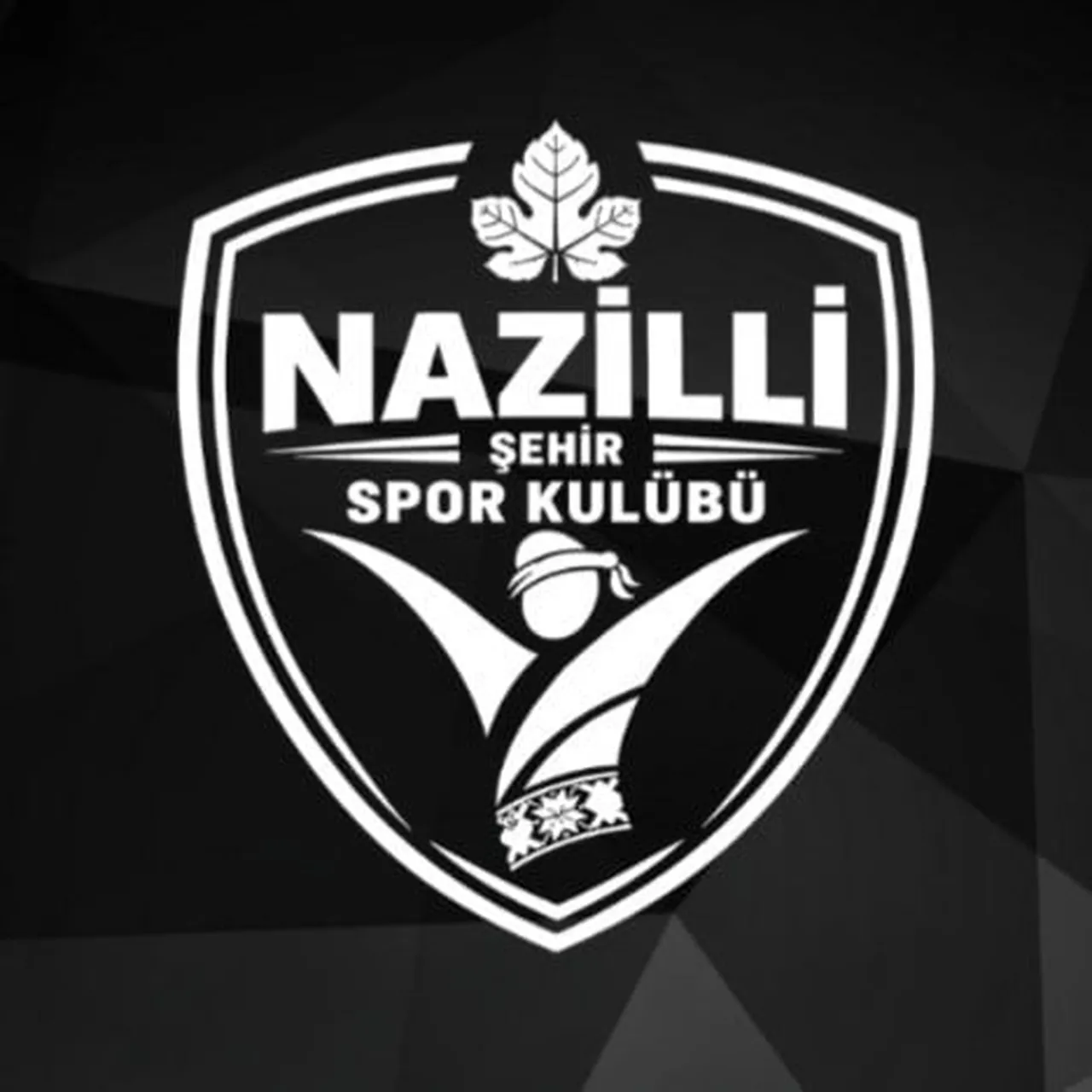 AYDIN SÜPER AMATÖR LİG TEMSİLCİSİ NAZİLLİ ŞEHİR SPOR KULÜBÜ, YENİ SEZON ÖNCESİ TRANSFER ATAĞINA...