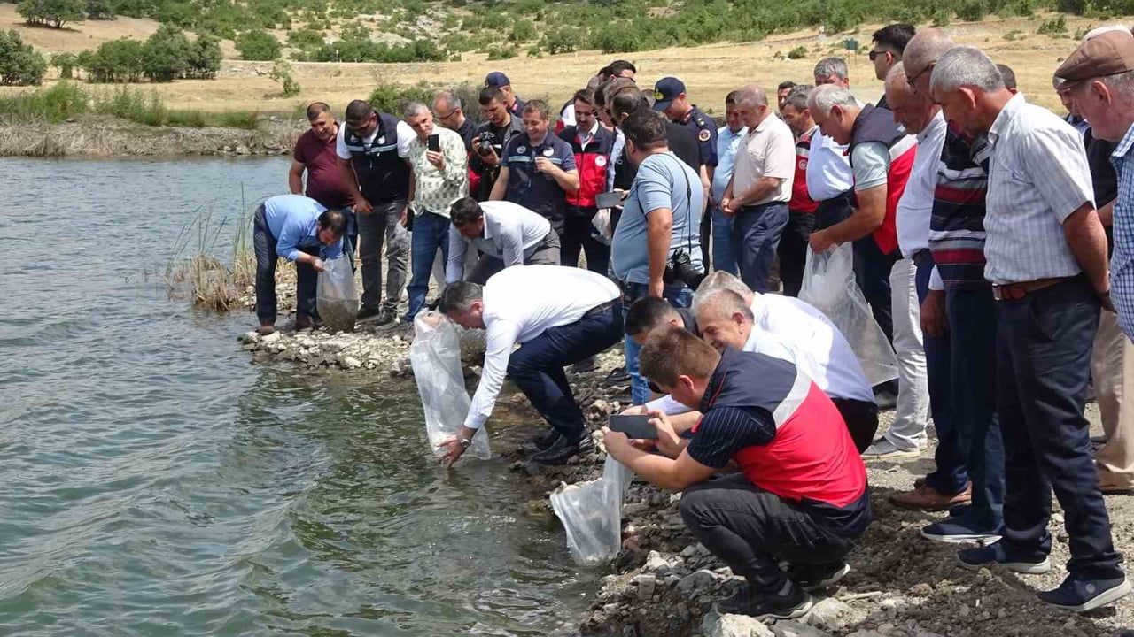 TAVŞANLI GÖLETLERİNE 123 BİN YAVRU SAZAN BIRAKILDI