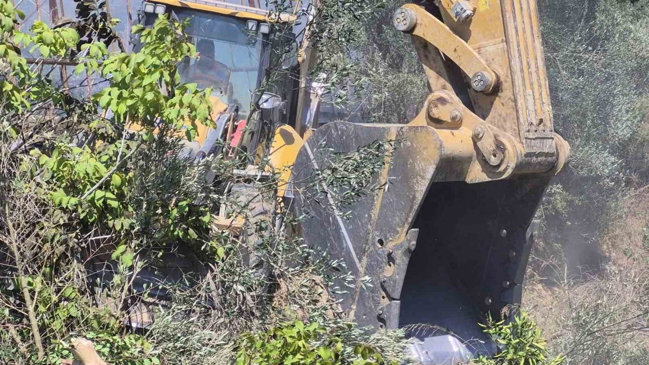ANTALYA’NIN MANAVGAT İLÇESİNDE TARIM ARAZİSİNDE BAŞLAYARAK ZEYTİN BAHÇESİNE SIÇRAYAN YANGINDA...