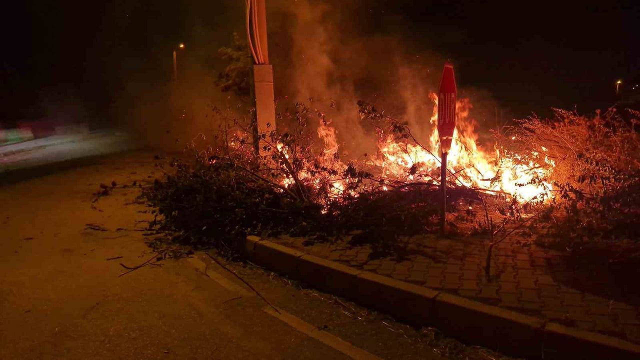 ÇORUM'UN ALACA İLÇESİNDE ÇIKAN ÖRTÜ YANGINI İTFAİYE EKİPLİNİN HIZLI MÜDAHALESİYLE...
