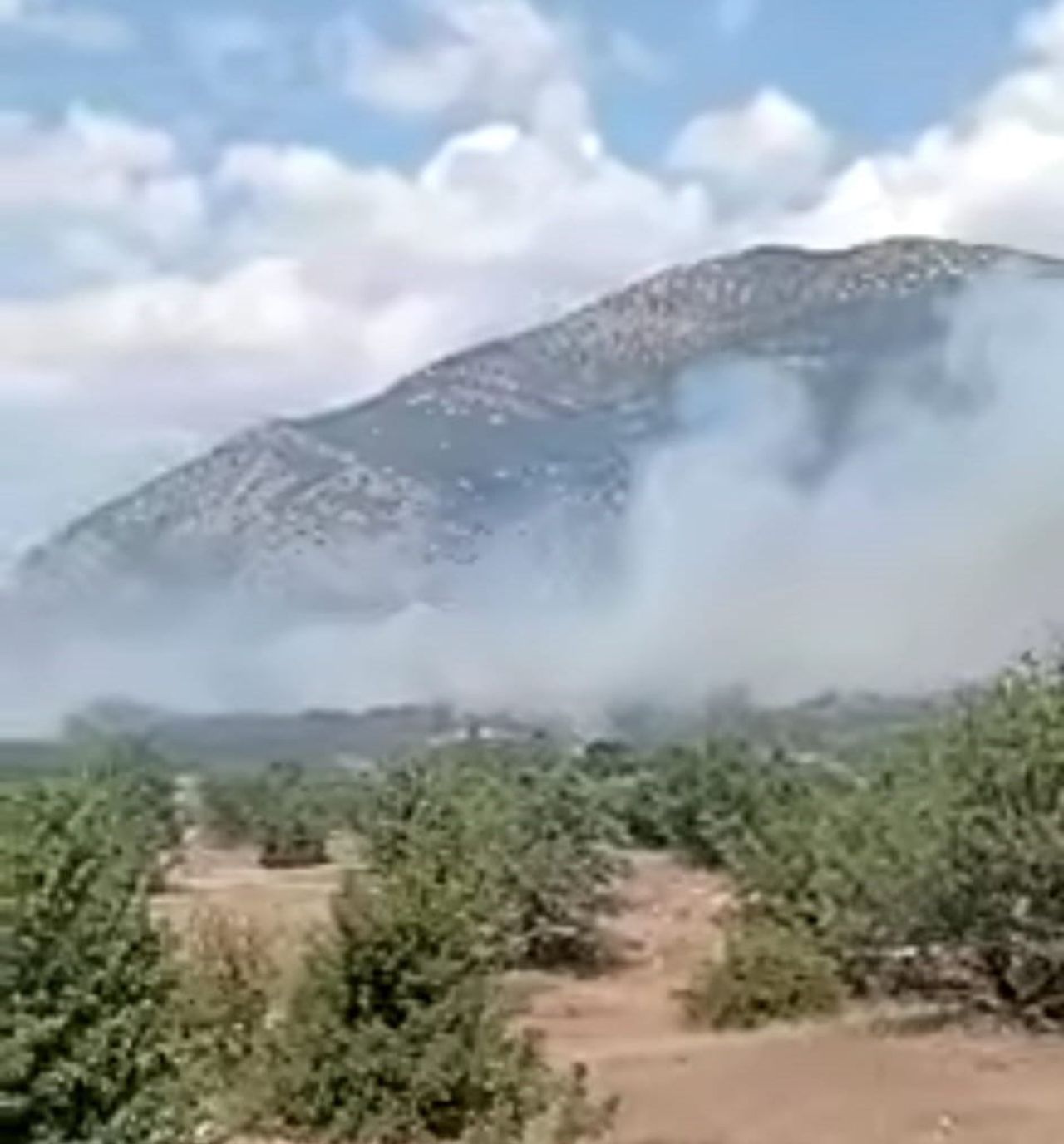 DENİZLİ’NİN ACIPAYAM İLÇESİNE BAĞLI KUMAFŞARI MAHALLESİ’NDEKİ ORMANLIK ALANDA ÇIKAN YANGINA...