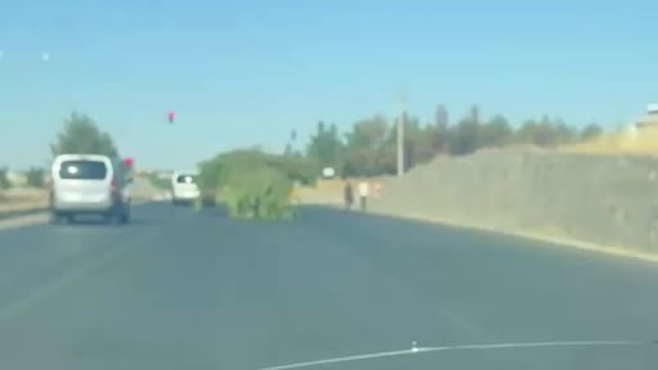 Diyarbakır'da traktörün yükü görenleri şaşkına çevirdi