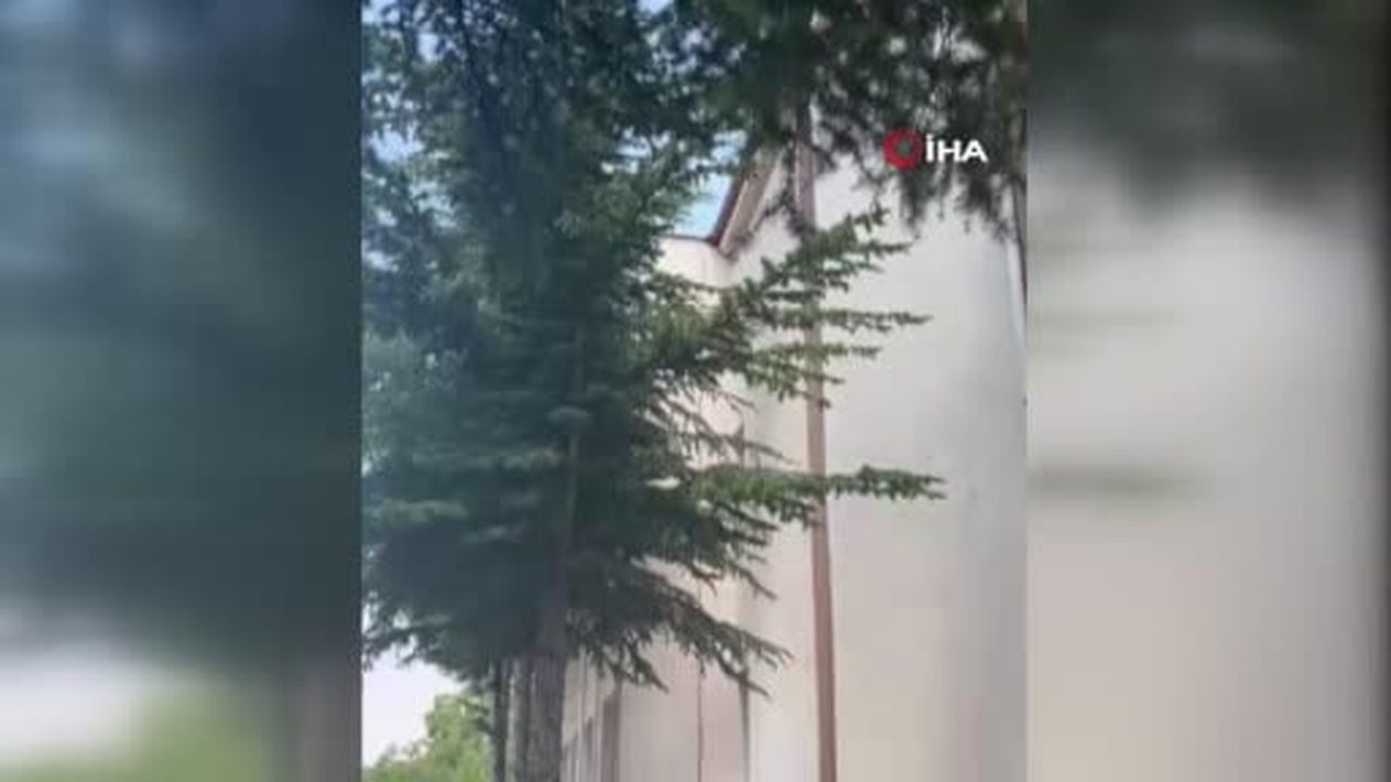 İtfaiyeden kedi kurtarma operasyonu