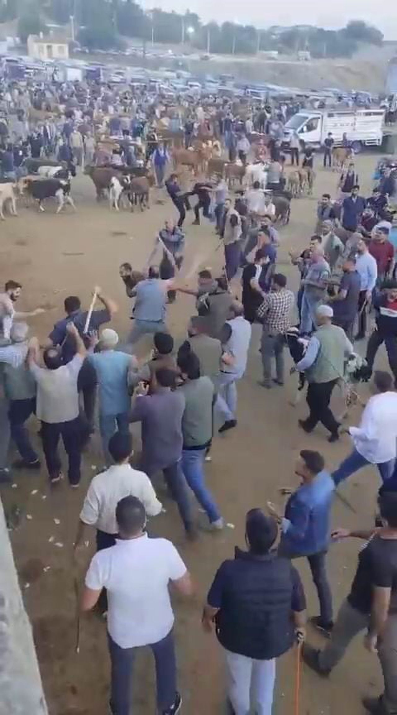 DİYARBAKIR’DA CANLI HAYVAN BORSASINDA ÖNCEKİ GÜN ALACAK VERECEK MESELESİ NEDENİ İLE ÇIKAN KAVGADA...