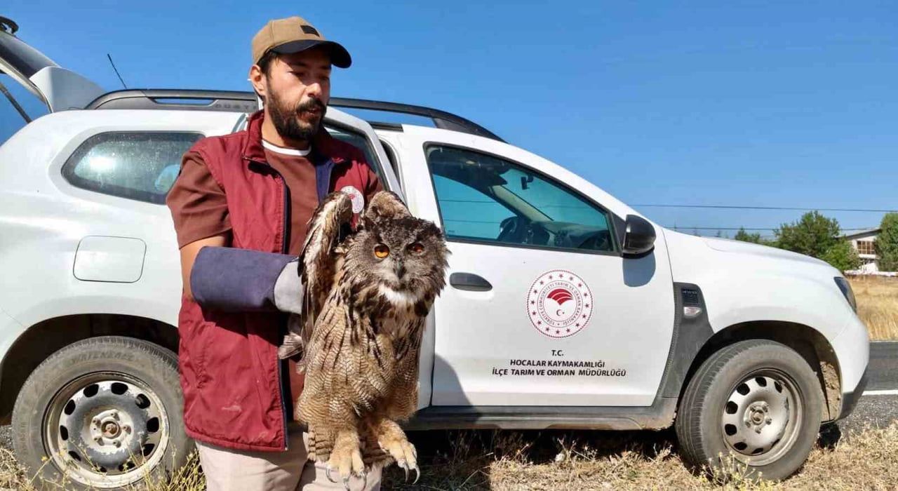 AFYONKARAHİSAR’IN SANDIKLI İLÇESİNDE ARAZİDE YARALI HALDE BULUNAN PUHU KUŞU TEDAVİ EDİLMEK ÜZERE...