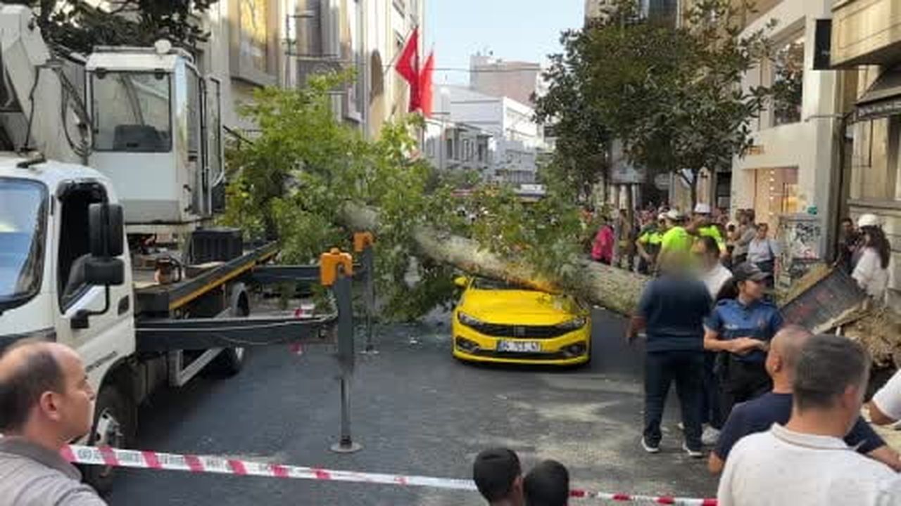 Nişantaşı’nda çınar ağacı iki aracın üzerine devrildi