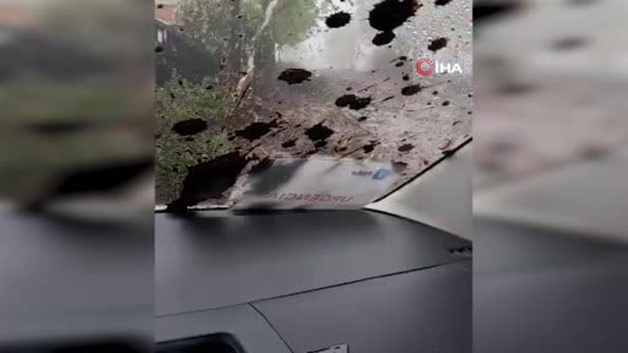 Şili’de şiddetli yağışlar sonucu aracıyla sele kapılan sürücü o anlar anbean kayıt altına...