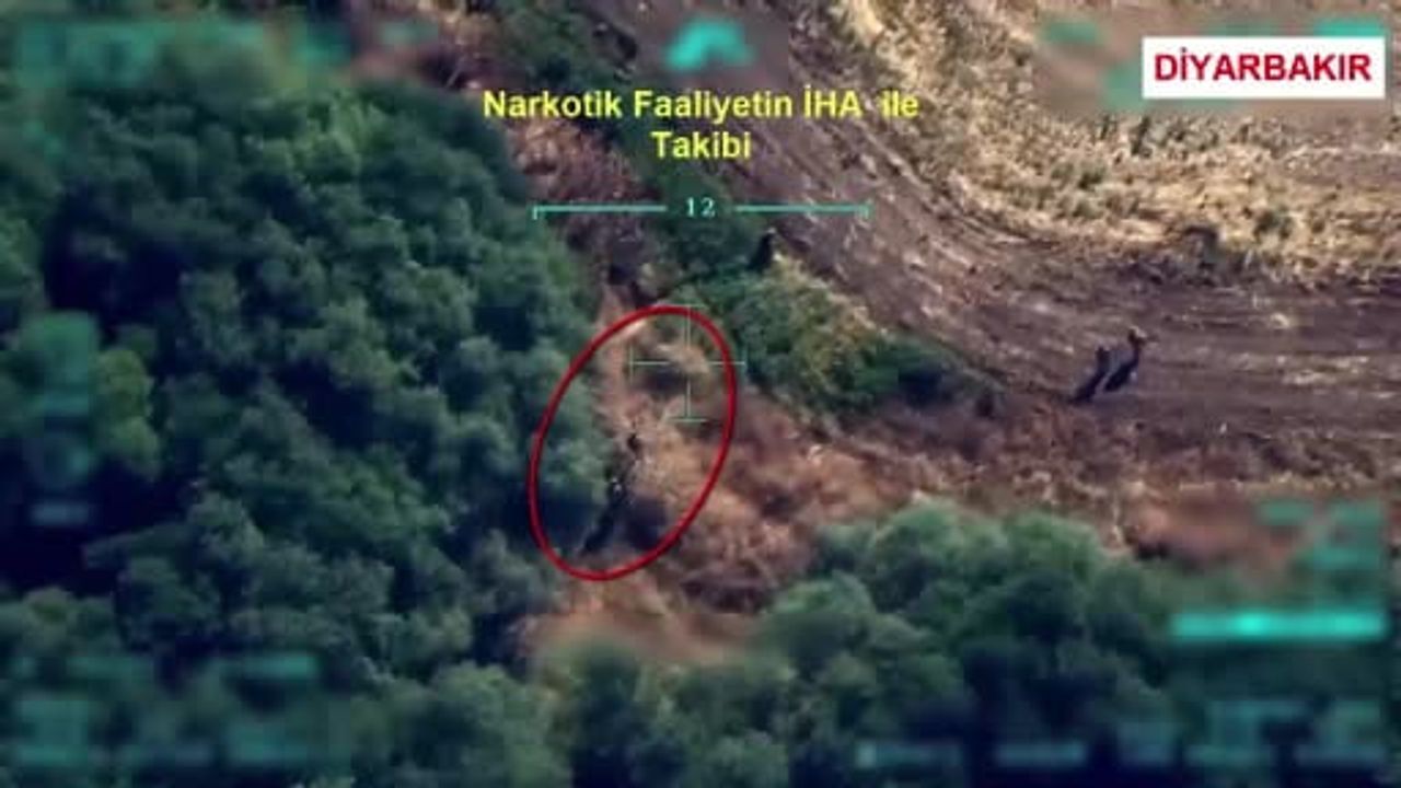 Diyarbakır’da 9,1 ton toz esrar elde edilebilecek 387 bin 882 kök kenevir ve skunk ele...