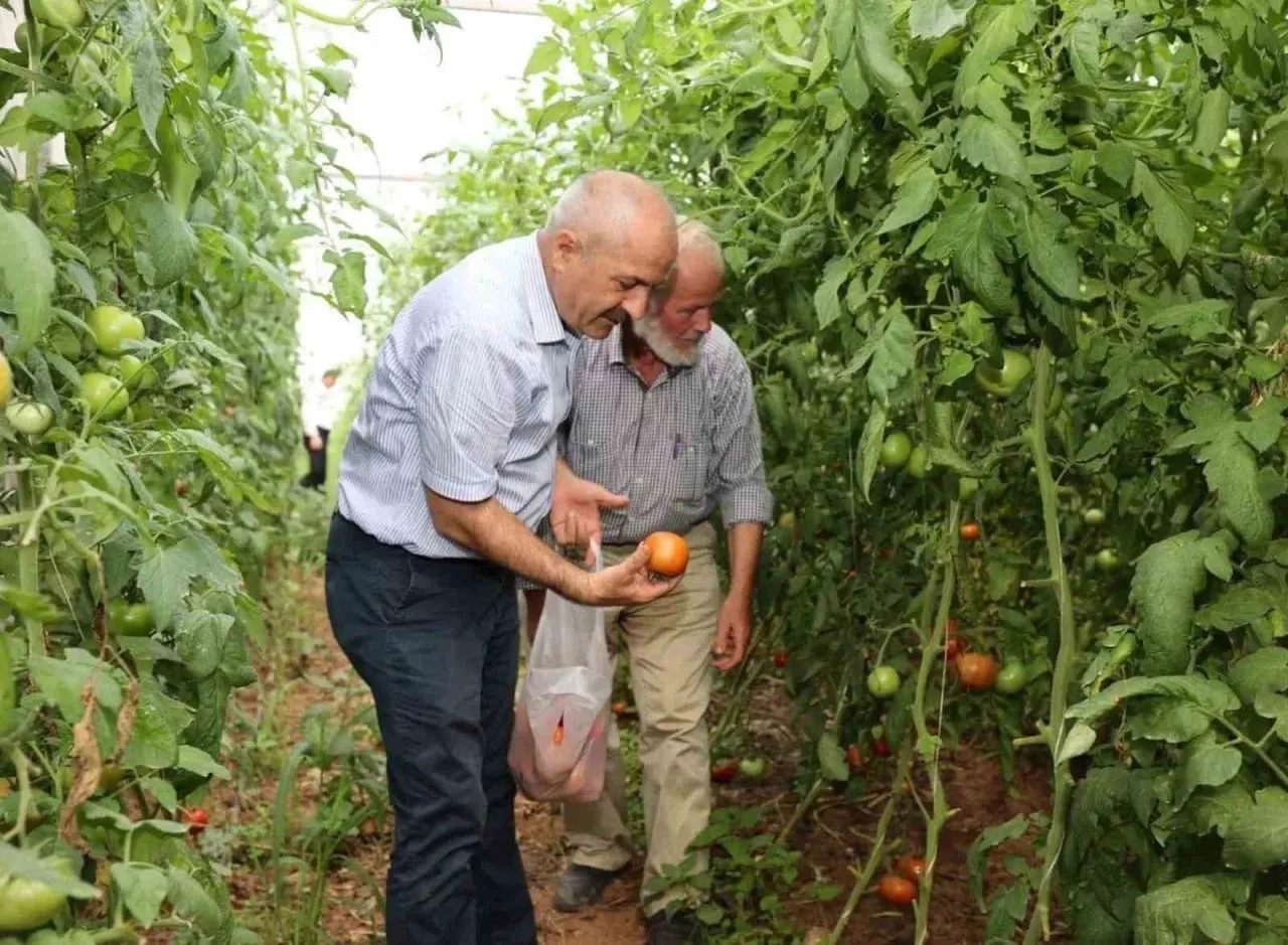 GEBZE BELEDİYESİ, KIRSAL MAHALLELERDE TARIMSAL ÜRETİMİN SÜRDÜRÜLEBİLİRLİĞİNİ SAĞLAMAK VE...