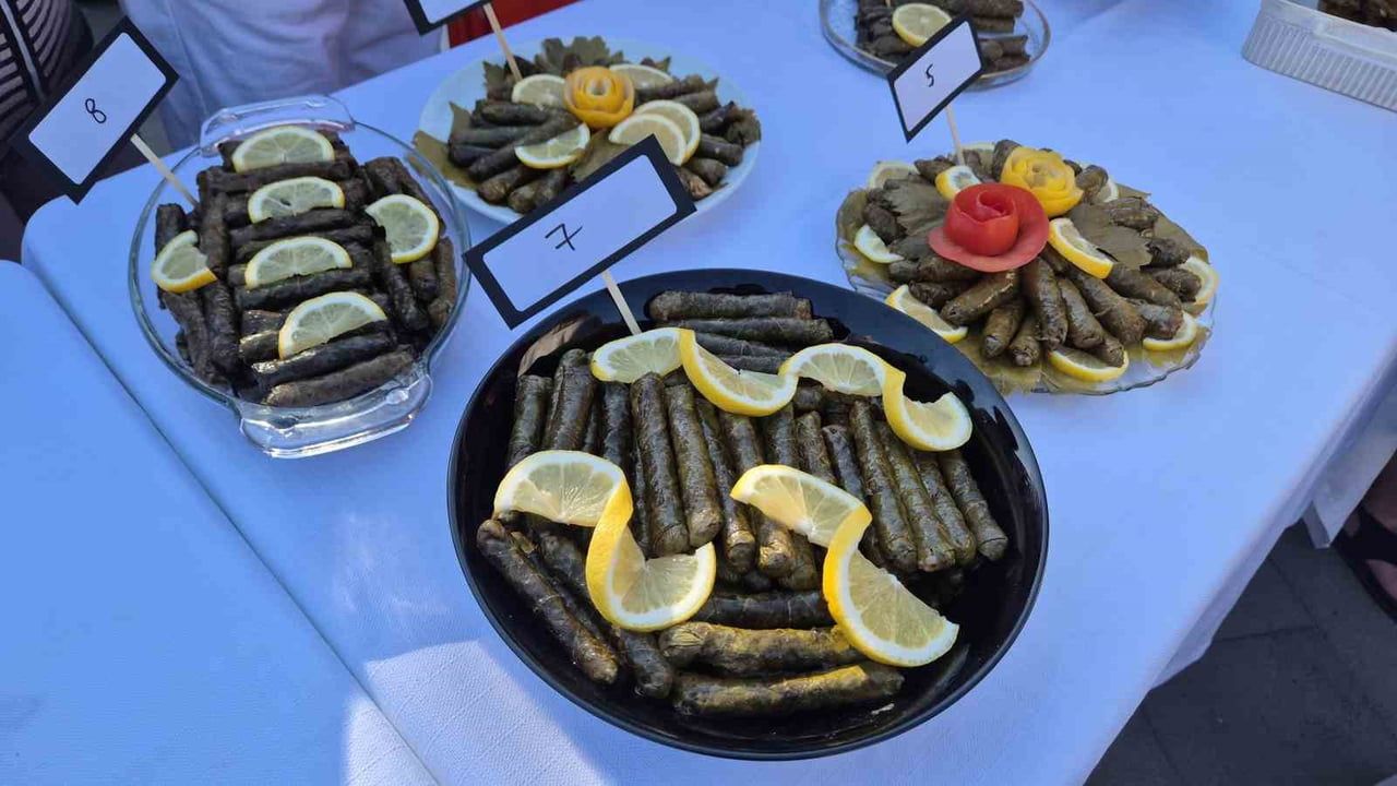 TEKİRDAĞ’IN SÜLEYMANPAŞA İLÇESİNDE DÜZENLENEN SÜLEYMANPAŞA BAĞ BOZUMU ŞENLİĞİ KAPSAMINDA, "ÜZÜM...