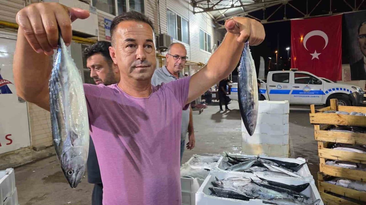 BALIKESİR’DE AV SEZONU BAŞLADI, BANDIRMA BALIK HALİ’NDE PALAMUT VE SARDALYA BEREKETİ