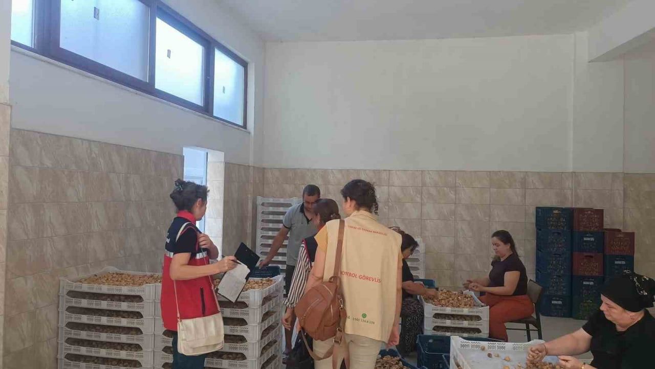 AYDIN'IN ÖNEMLİ TARIMSAL ÜRÜNLERİNDEN OLAN VE AVRUPA BİRLİĞİ TARAFINDAN TESCİLLİ COĞRAFİ İŞARETE...
