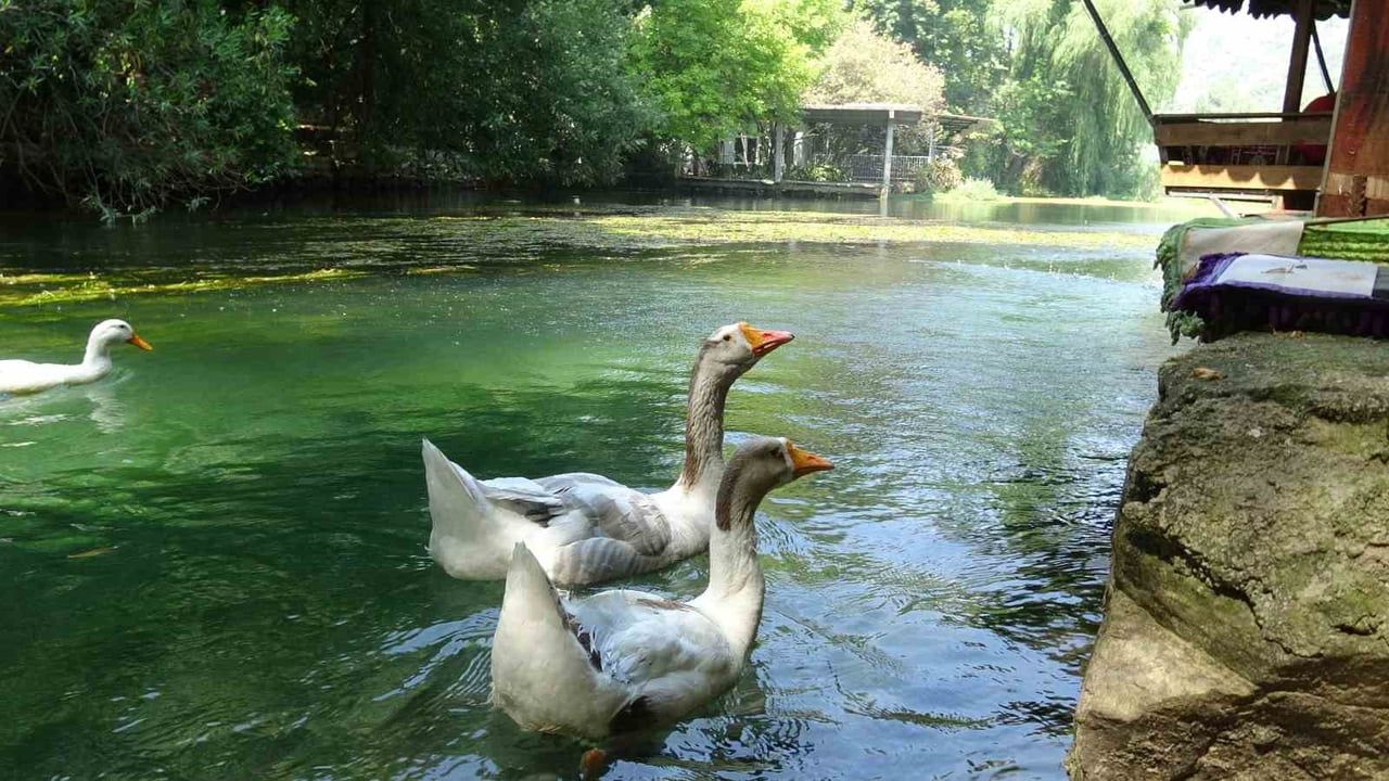 ADANA'NIN KOZAN İLÇESİNDE, OSMANİYE SINIRINDA YER ALAN BUCAK VADİSİ, DOĞAL GÜZELLİKLERİYLE...