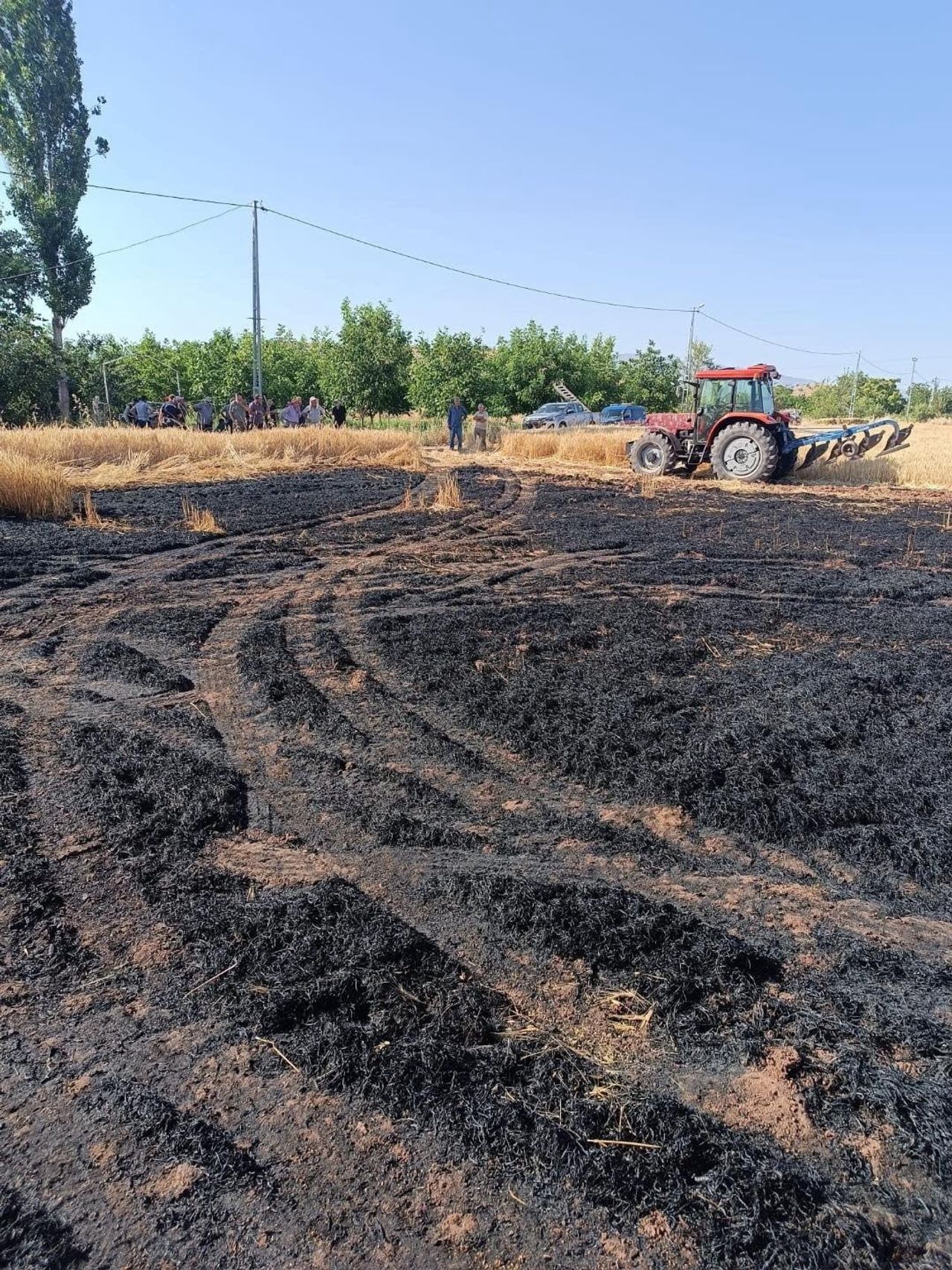 ELAZIĞ’DA ÇIKAN TARLA YANGINI KONTROL ALTINA ALINARAK SÖNDÜRÜLDÜ