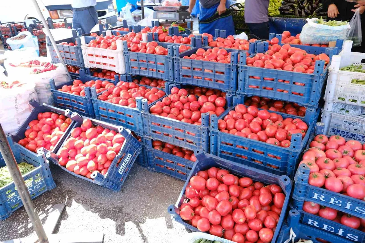 ERZİNCAN’DA SALÇALIK DOMATES VE BİBERLER TEZGAHLARDA