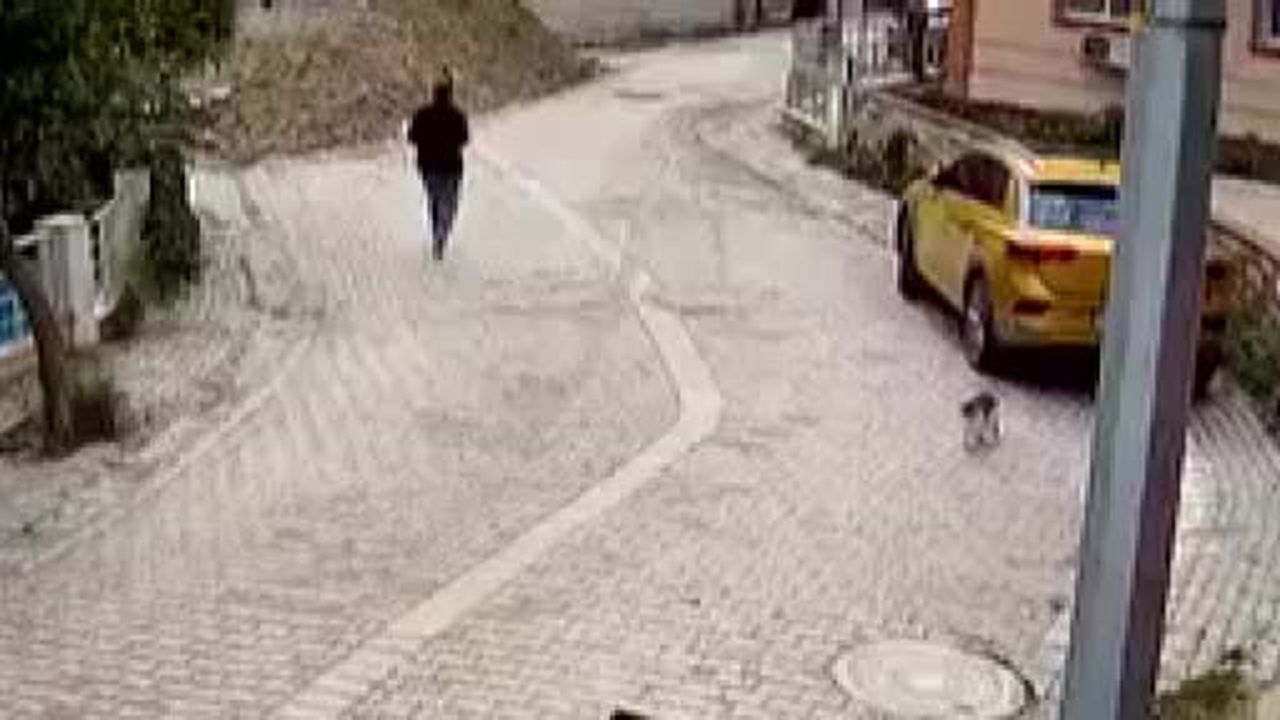 Avcılar’da 76 yaşındaki kadının rögara düştüğü anlar kamerada