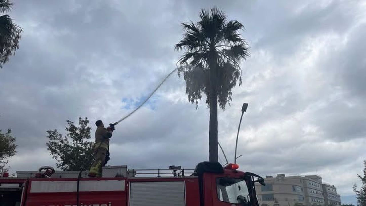 İSKENDERUN MEYDAN MAHALLESİ’NDE YILDIRIM DÜŞMESİ SONUCU ÇIKAN AĞAÇ YANGINI EKİPLERİN MÜDAHALESİYLE...