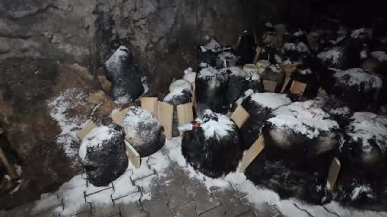 Tuluk peynirleri mağaraya dinlenmeye bırakıldı