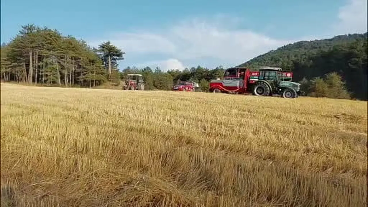 Bolu'da orman kenarında anız yangını: Köylülerin su tankerli müdahalesi faciayı önledi
