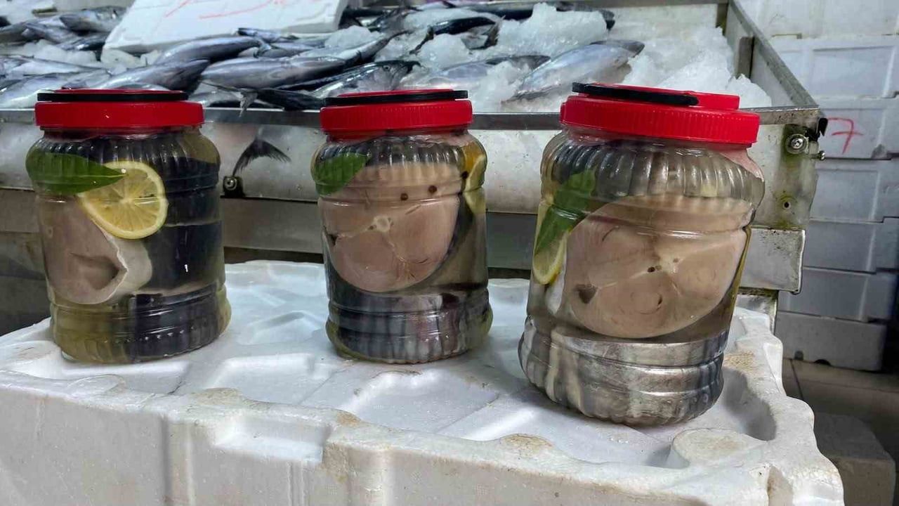 SİNOP’TA BALIKÇILIK YAPAN MERT KANAL, KENTTE UYGULANAN GELENEKSEL BALIK TUZLAMA YÖNTEMLERİNİ...