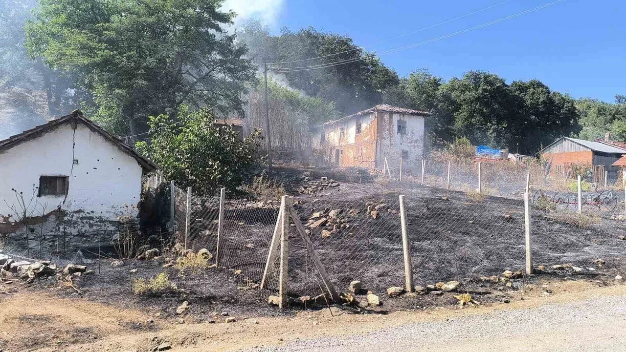 BİLECİK’TE ORMAN YANGININA SEBEBİYET VEREN ŞAHIS GÖZALTINA ALINDI