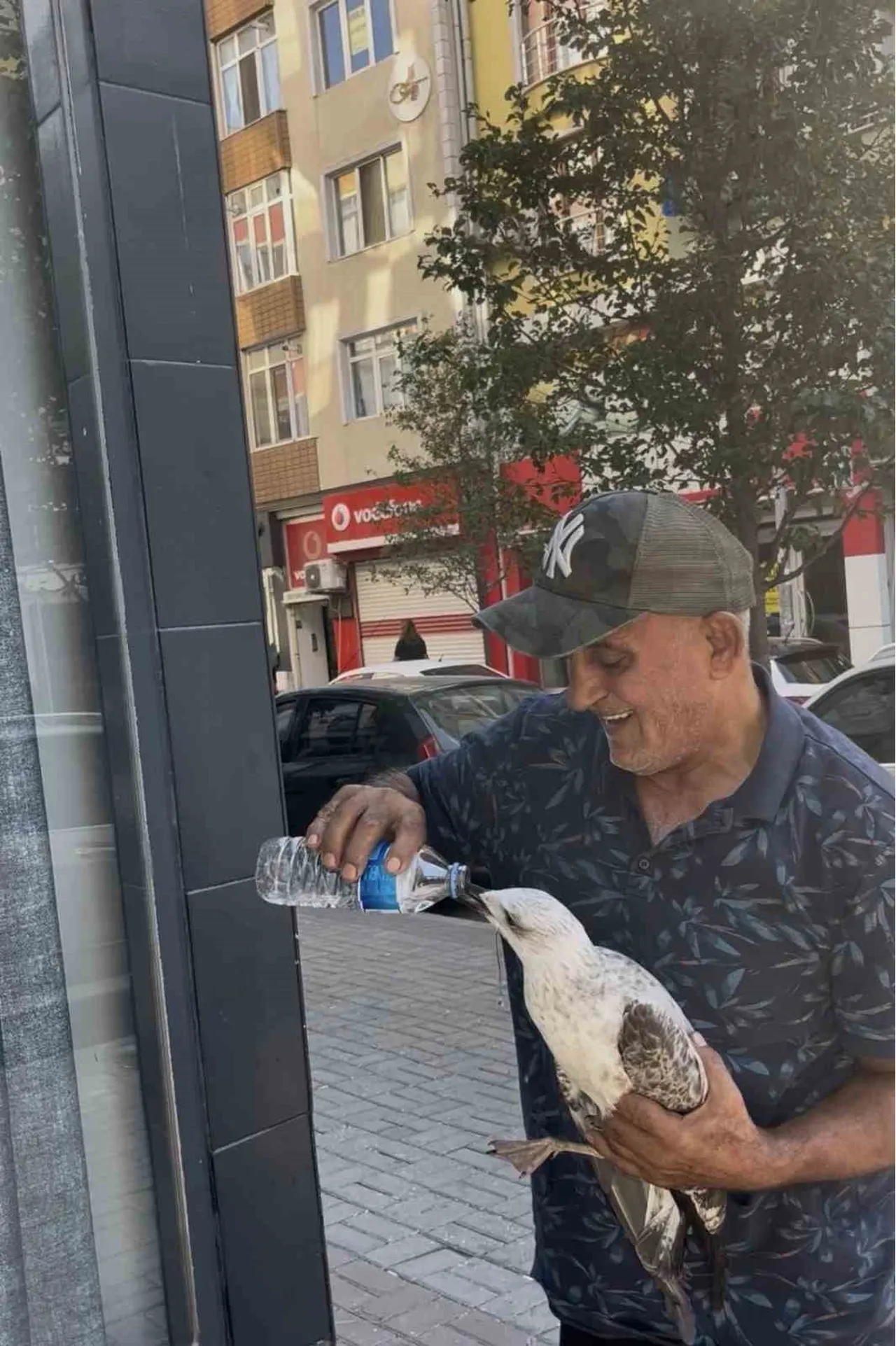 ÇORLU'DA SICAKTA BİTKİN DÜŞEN MARTIYI KUCAĞINA ALIP SEVEREK DUYARLILIK ÖRNEĞİ GÖSTEREN ÖMER...