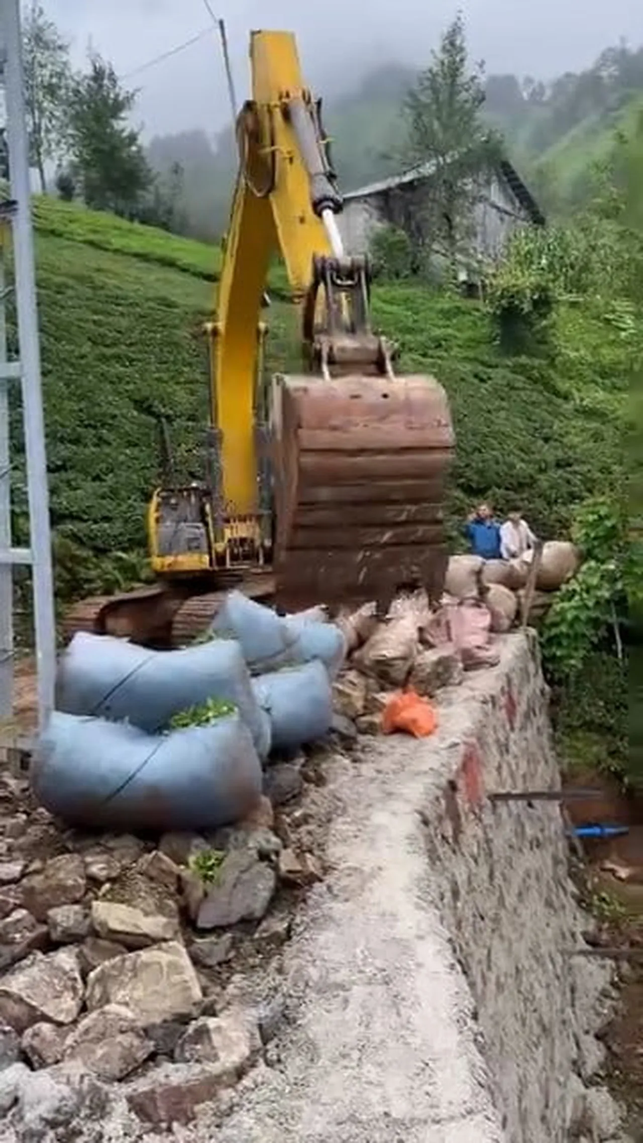 RİZE'DE DİK VE ENGEBELİ ARAZİDE ÇAY HASADI YAPAN BİR ÜRETİCİ, TOPLADIĞI ÇAY BEZLERİNİ TAŞIMAK İÇİN...