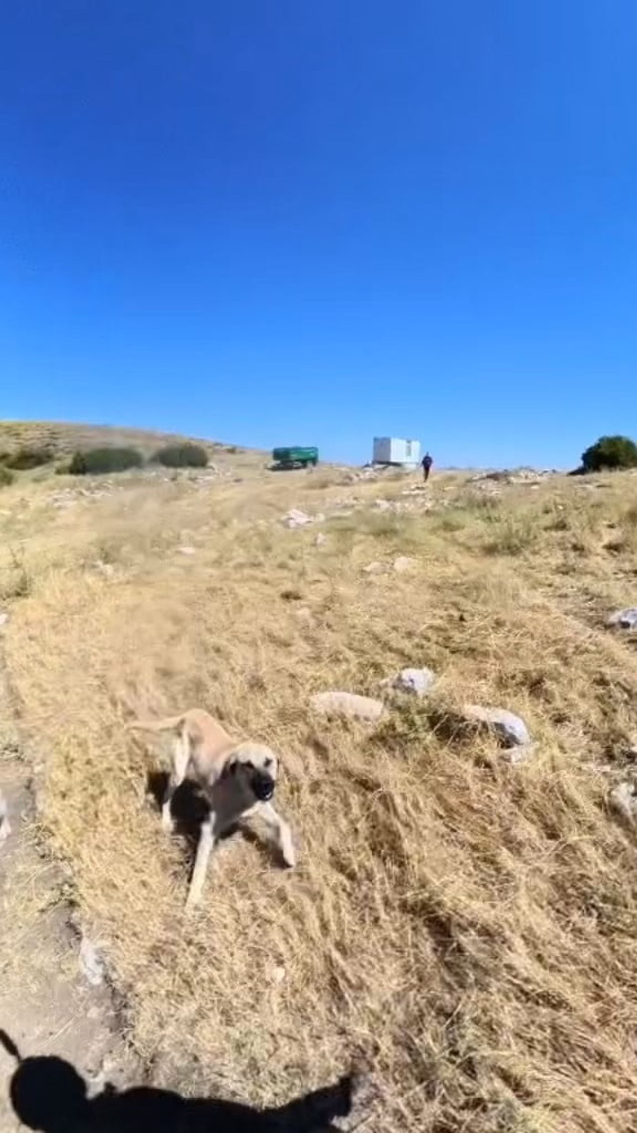 ALADAĞLAR BÖLGESİNDE BASE JUMP ATLAYIŞI GERÇEKLEŞTİREN SPORCU SAMET BAYDAR, İNİŞ YAPTIĞI SIRADA...