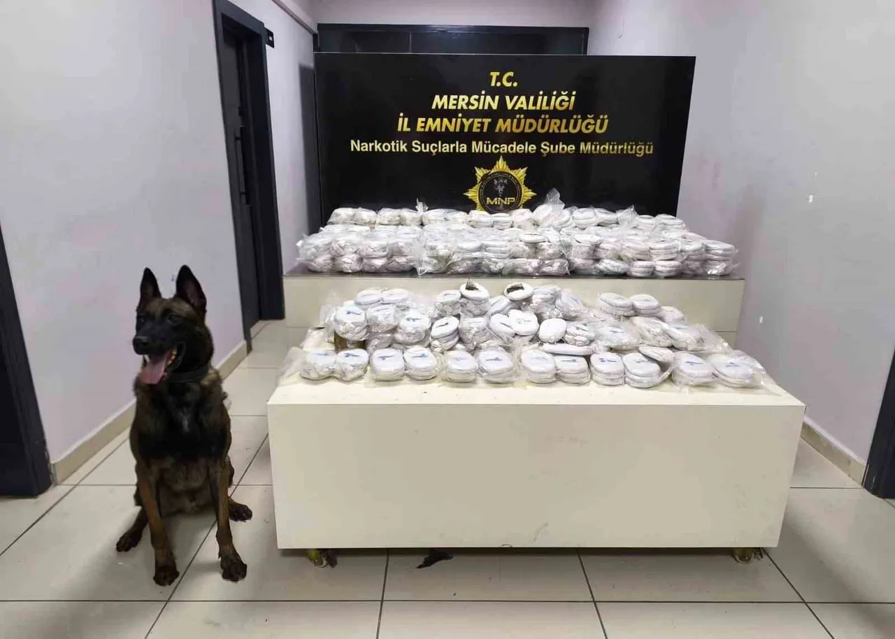 OPERASYONLAR KAPSAMINDA PİYASA DEĞERİ 13 MİLYON 960 BİN LİRA OLAN 3 KİLO 490 GRAM KOKAİN VE DARALI...