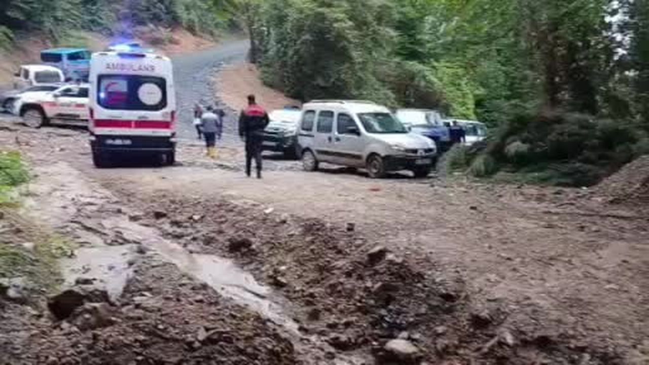 Kestane toplamak için girdiği ormandan cansız bedeni çıktı