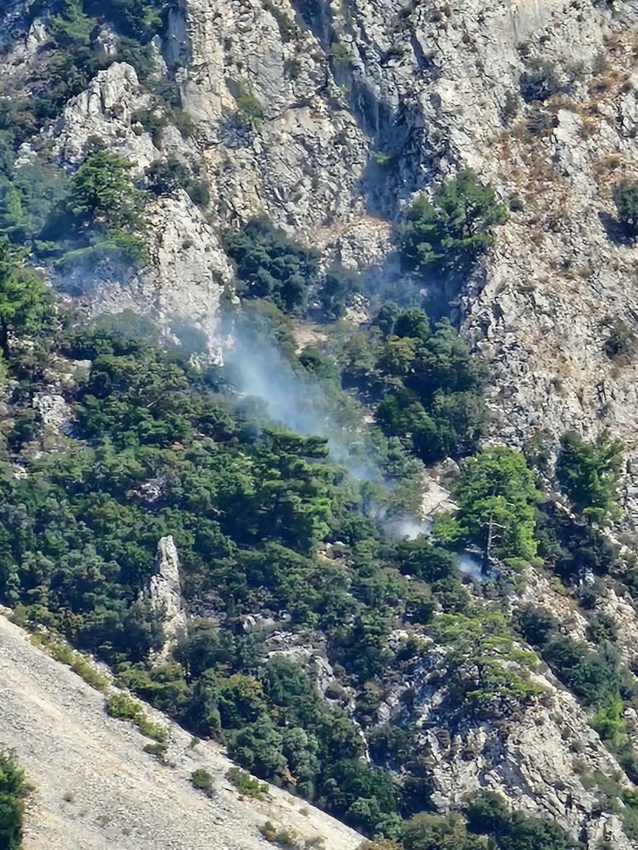 MUĞLA’DA MAKİLİK ALANDA ÇIKAN YANGIN KONTROL ALTINA ALINDI