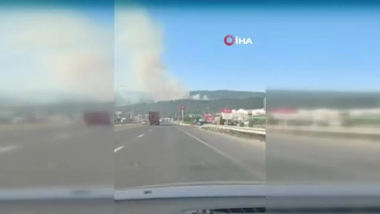 Bilecik'te makilik alanda çıkan yangın rüzgarın etkisiyle büyüyor