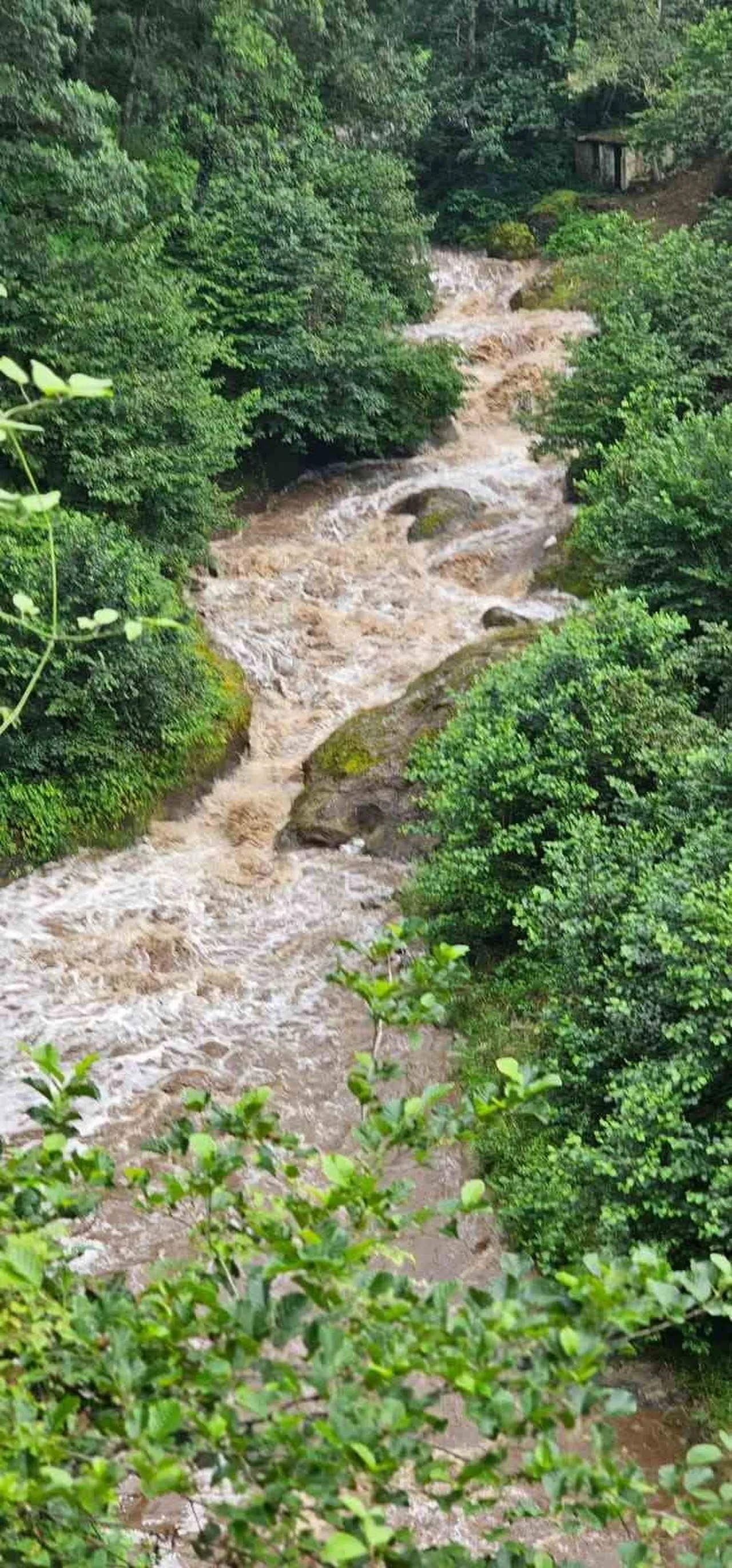GİRESUN'UN GÖRELE İLÇESİ HAMZALI KÖYÜNDE ŞİDDETLİ YAĞIŞ SONRASI ZIVA DERESİ TAŞTI. DERE KENARINDA...