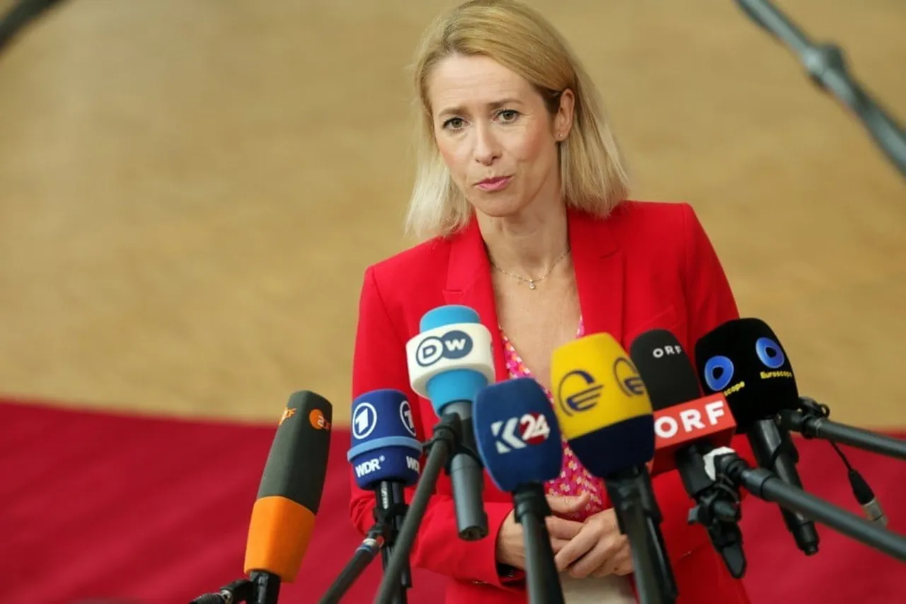 AVRUPA BİRLİĞİ'NİN DIŞ POLİTİKA ŞEFİ KAJA KALLAS, "STARLİNK, UKRAYNA İÇİN GERÇEKTEN GEREKLİ. NE...