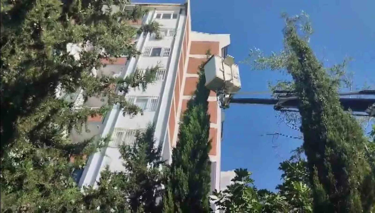 OLAY YERİNE GELEN İTFAİYE EKİPLERİNCE YAPILAN ÇALIŞMALAR SONUCUNDA AĞAÇTA MAHSUR KALAN KEDİ...