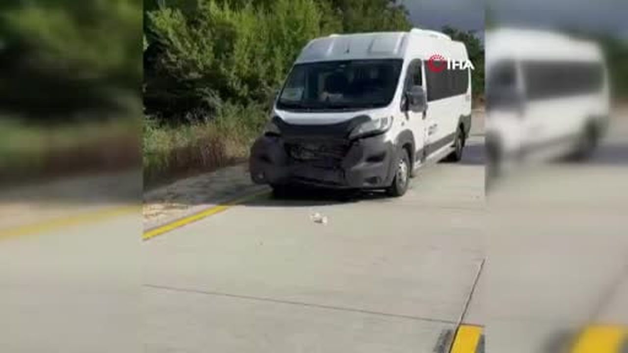 Silivri'de panelvan aracın çarptığı yaban domuzu telef oldu