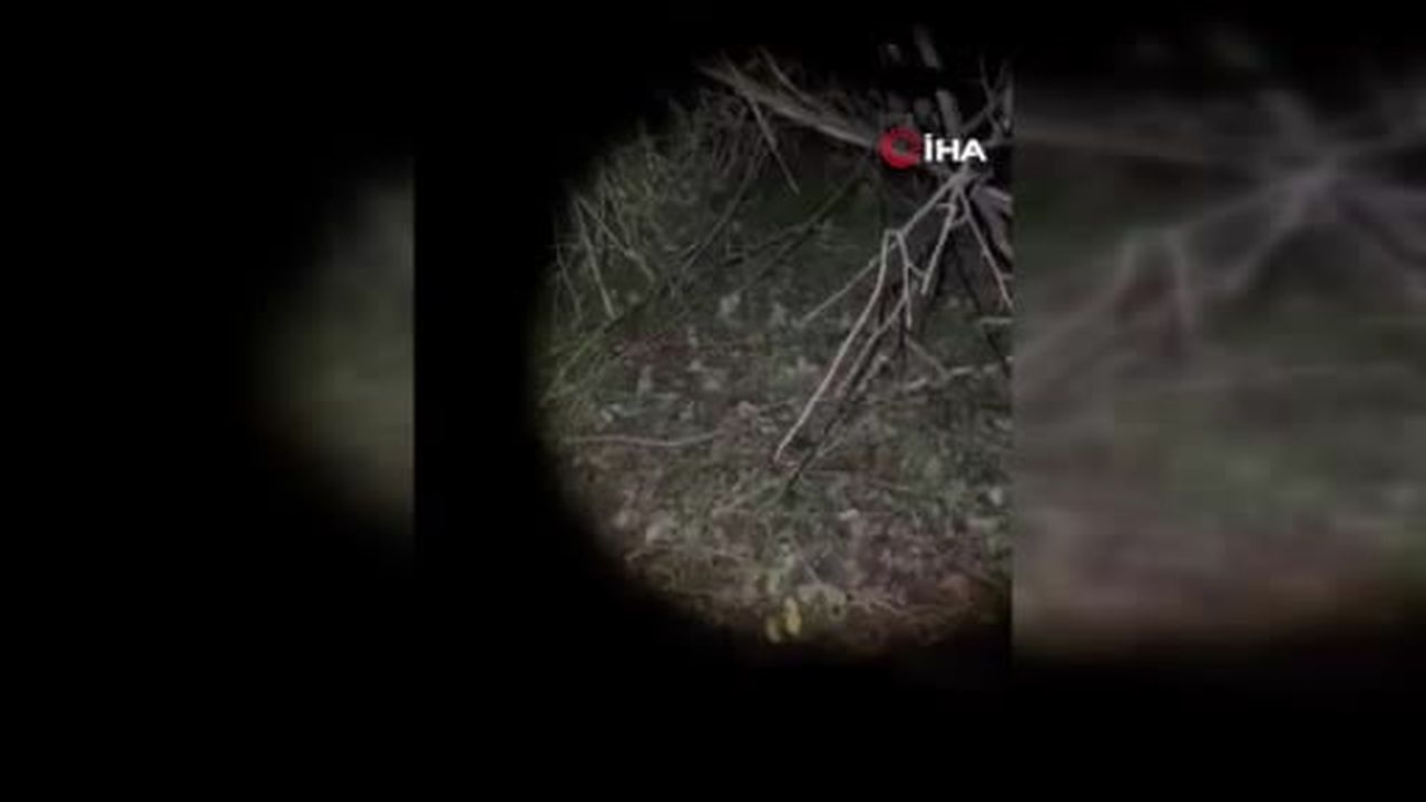 Çatalca’da mantar toplarken kaybolan 2 kişi sabaha karşı bulundu