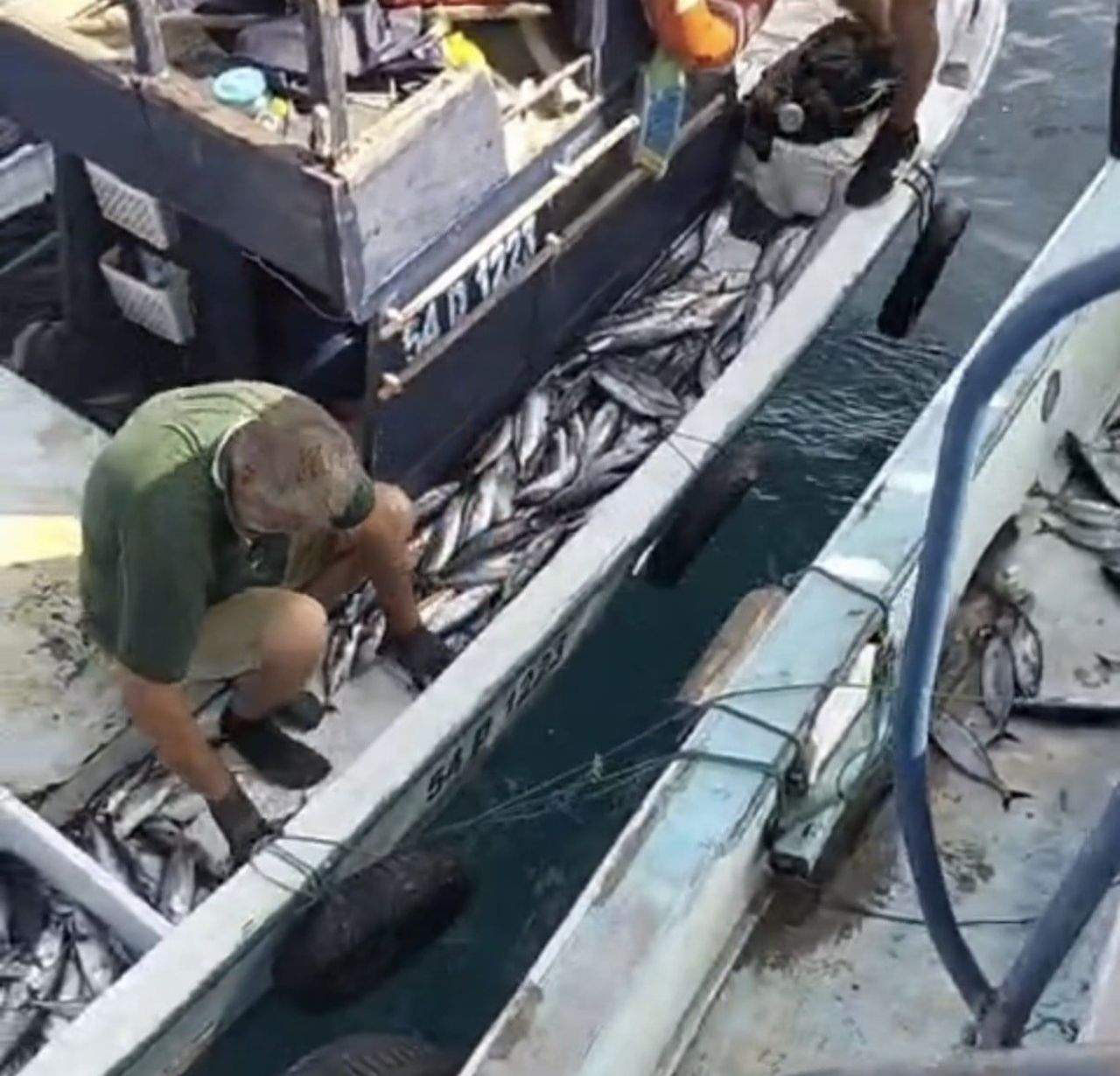 BALIK SEZONUNUN AÇILMASIYLA BİRLİKTE YÜZLERCE TEKNE GECE SAATLERİNDE KARADENİZ’E AÇILDI. AKÇAKOCA...