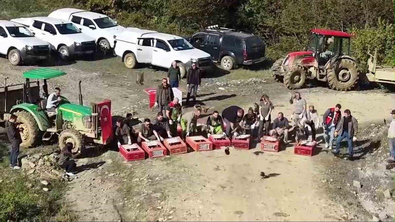 SİNOP’TA BİYOLOJİK ÇEŞİTLİLİĞİN KORUNMASI VE YABAN HAYATININ DESTEKLENMESİ AMACIYLA YÜRÜTÜLEN...