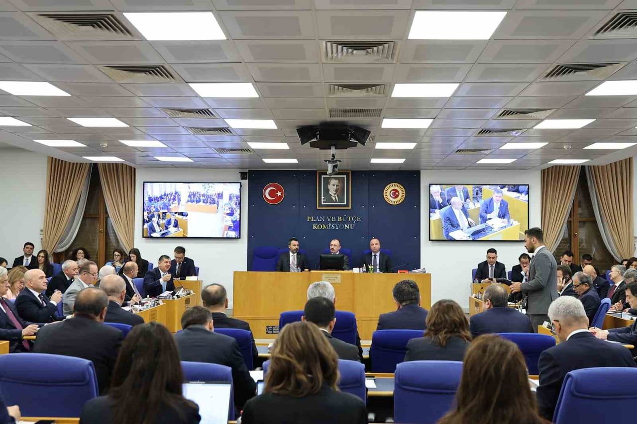 KAMUOYUNDA 'FON DÜZENLEMESİ' OLARAK BİLİNEN 'TASFİYESİNE KARAR VERİLEN BAZI YATIRIM FONLARI...