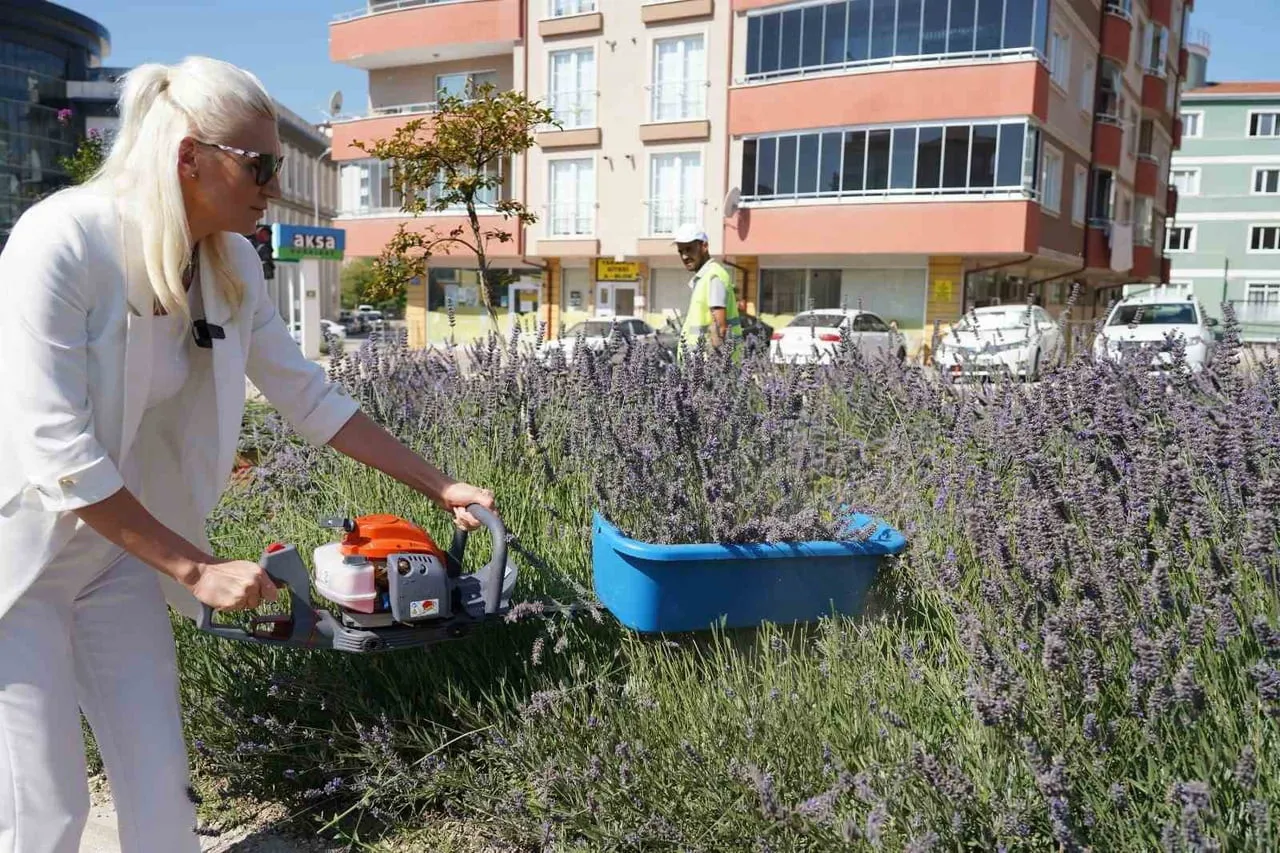 60 ÜLKEDEN 381 PROJE ARASINDA BİLECİK VE İSTANBUL YER ALDI