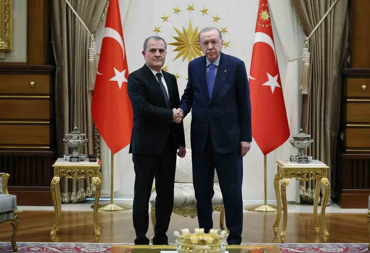 CUMHURBAŞKANI RECEP TAYYİP ERDOĞAN, TÜRK DEVLETLERİ TEŞKİLATI (TDT) DEVLET BAŞKANLARI 13. ZİRVESİ...