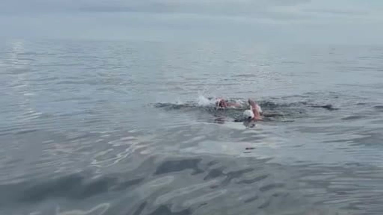 Önceki Dönem Gençlik ve Spor Bakanı, AK Parti İzmir Milletvekili, TBMM Engelli Bireylerin...