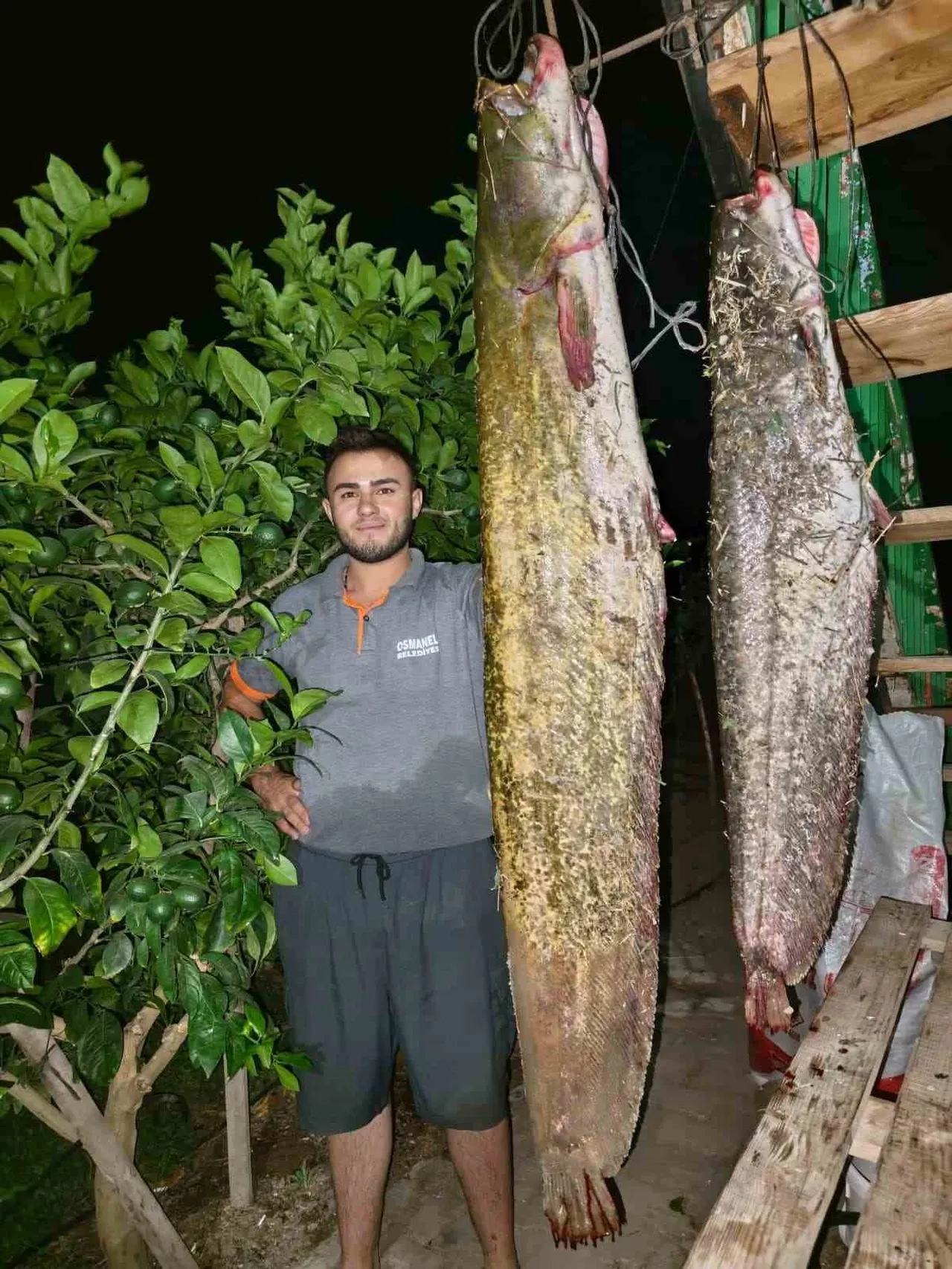 SAKARYA NEHRİ’NDEN 34 KİLOLUK DEV YAYIN ÇIKTI