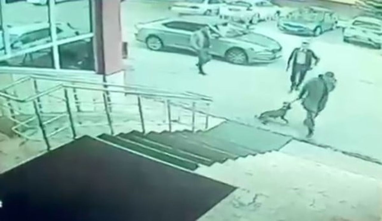 ERZURUM PALANDÖKEN İLÇESİ KAYMAKAMI YUNUS KIZILGÜNEŞ VE KORUMASININ "BİR KÖPEĞE TEKME ATTIĞI VE...
