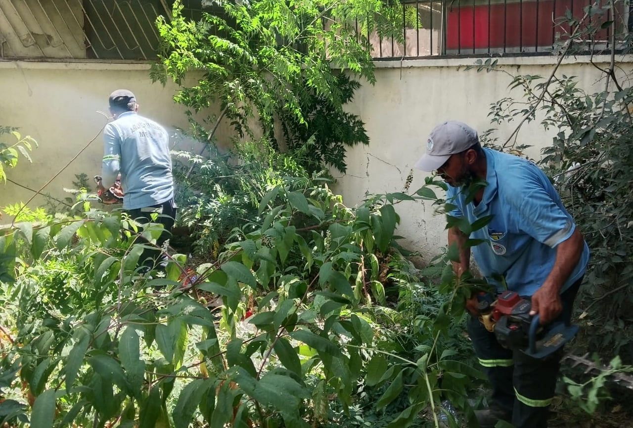 MERSİN’İN AKDENİZ İLÇESİNDE PARK VE YEŞİL ALANLARDA BAKIM, ONARIM, BUDAMA VE TEMİZLİK ÇALIŞMALARI...