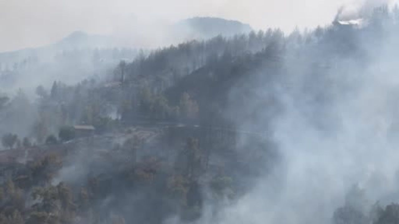 Kumluca'da ormanlık alanda yangın