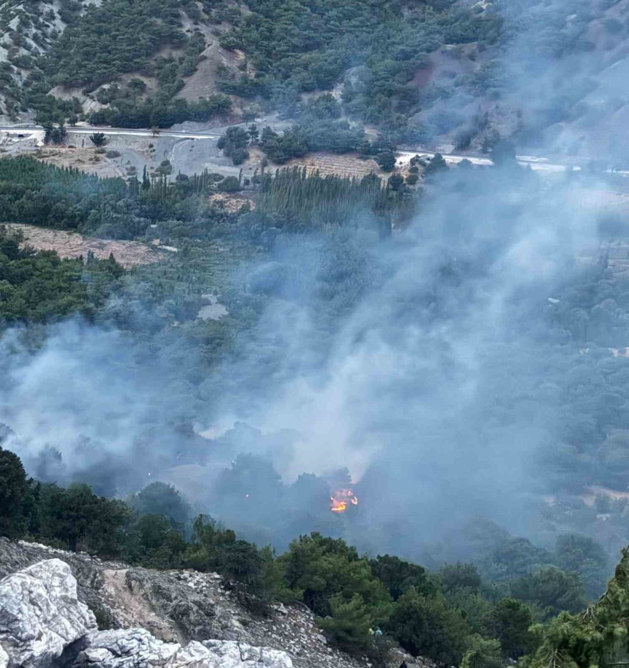ADIYAMAN'IN GÖLBAŞI İLÇESİNDE AKŞAM SAATLERİNDE YILDIRIM DÜŞMESİ SONUCU BAŞLAYAN ORMAN YANGINI...