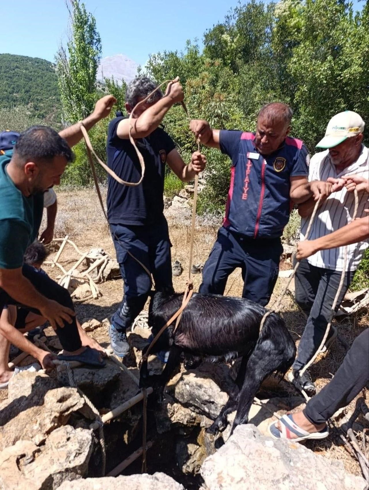 HATAY'DA SU KUYUSUNA DÜŞEREK MAHSUR KALAN KEÇİ, İTFAİYE VE VATANDAŞLARIN ÇALIŞMASIYLA...