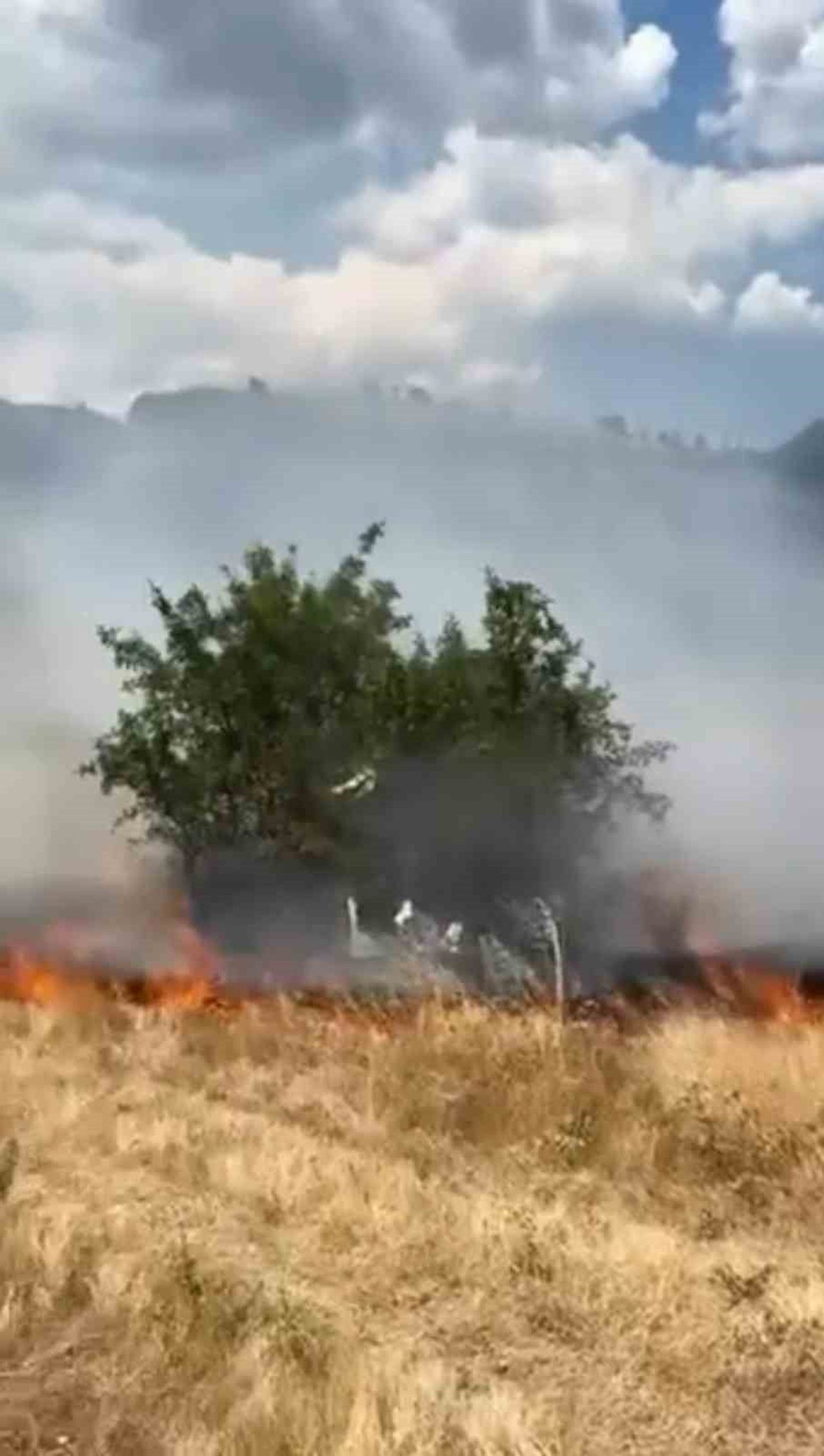 KARABÜK'ÜN SAFRANBOLU İLÇESİNDE BOŞ ARAZİDE ÇIKAN OT YANGINI, BÜYÜMEDEN KONTROL ALTINA ALINARAK...